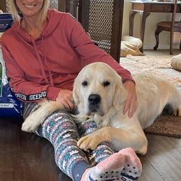 Golden Retriever Puppies from West Coast Cream Goldens