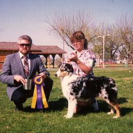 Australian Shepherd All Grown Up from Windmill Australian Shepherds