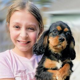 Mitzi - Black and tan female Cavalier King Charles Spaniel puppy in Richmond, Virginia from Irresistible Dachshunds & Cavaliers