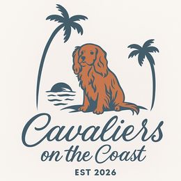 Cavalier King Charles Spaniels from Cavaliers on the Coast