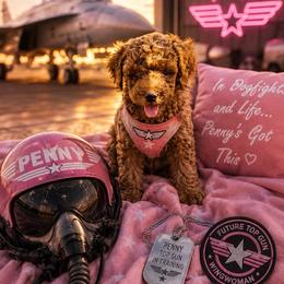 Penny - Red  female Poodle puppy in Cedar City, Utah from Pearson's Poodles