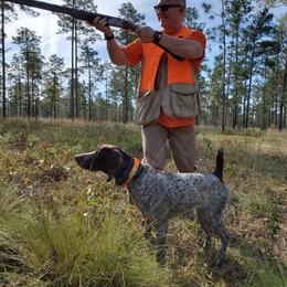 Nolly - German Shorthaired Pointer
