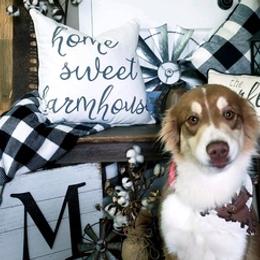 Australian Shepherds from Faith Ridge Farm