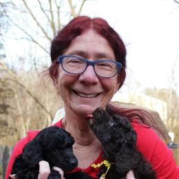Poodle Puppies from Piccolo's Poodles