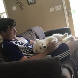 Samoyed Puppies from Kenjo Samoyeds