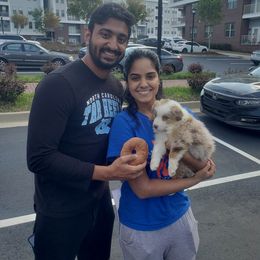 Australian Shepherd Puppies from Holly Ridge Aussies
