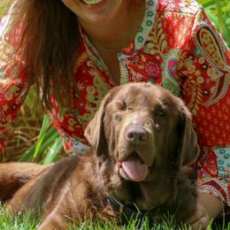 Labrador Retrievers from Empress Labradors and Basset Hounds