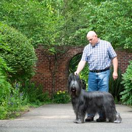 Briard Puppies from Sendero Briards