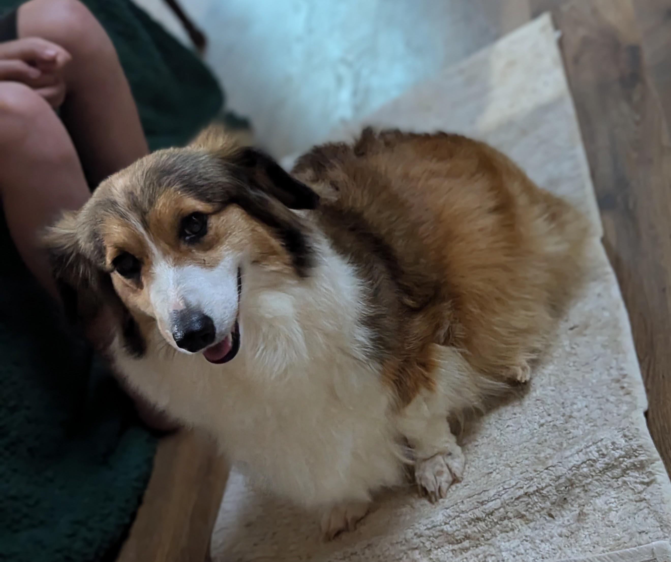 Luna