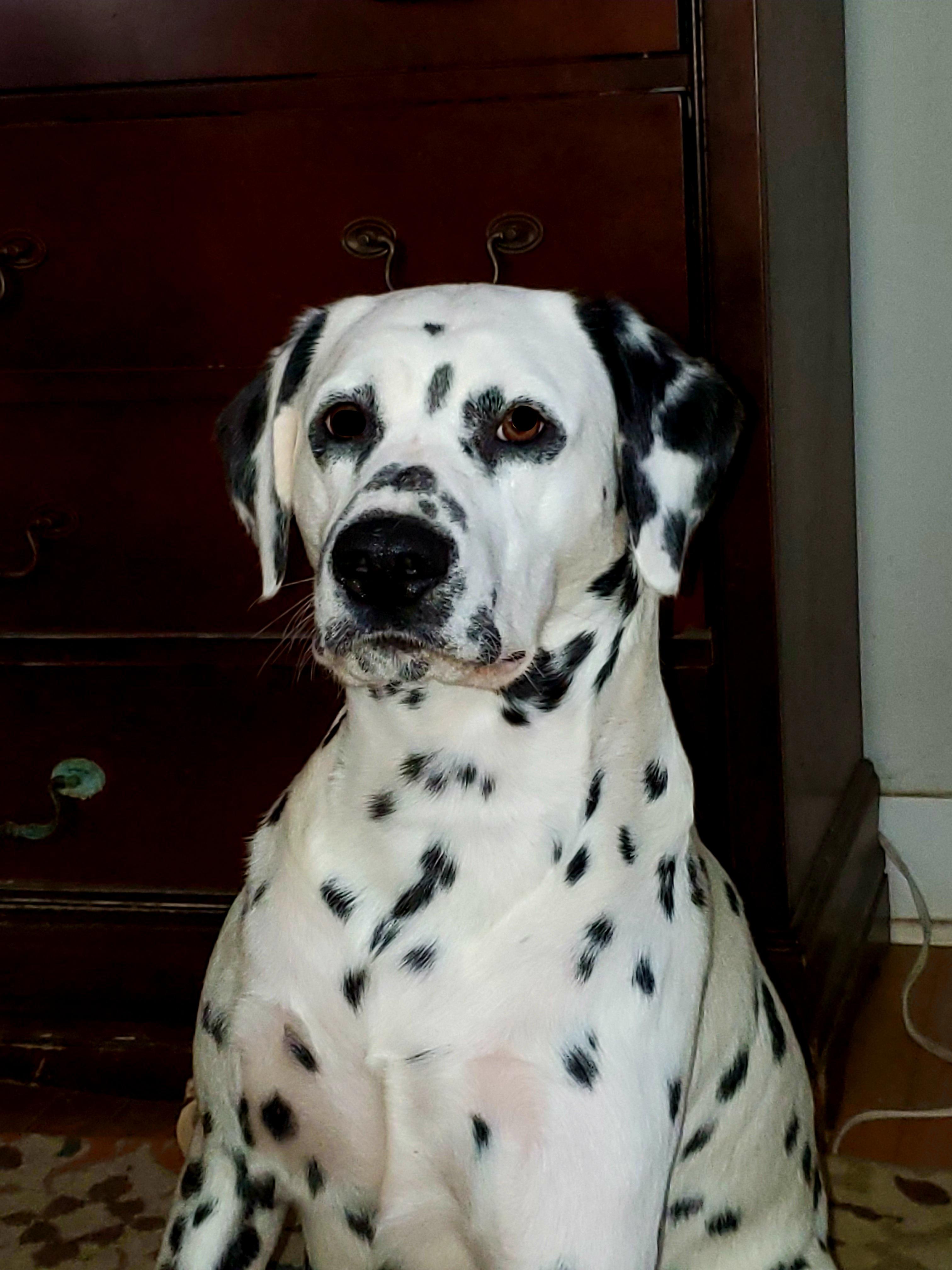 Finnegan