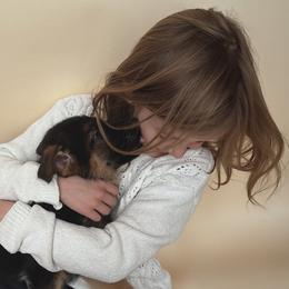 Stella - Black and tan female German Shepherd puppy in Grand Junction, Colorado from Sonnenfeld Shepherds