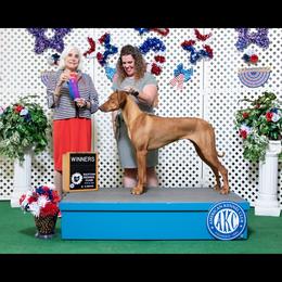 Makina - Rhodesian Ridgeback