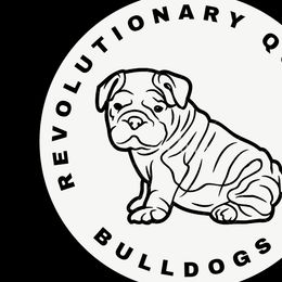 Bulldogs from FlawlessValleyBulldogs