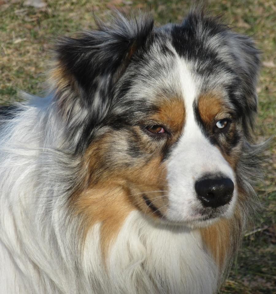 Jax