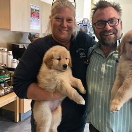 Golden Retriever Puppies from SUN-GOLDEN KENNELS