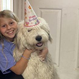 Old English Sheepdog Puppies from Heavinly Blessings Farm Pups - Old English Sheepdog Puppies