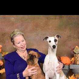 Brussels Griffon and Whippet Puppies from Patti Fitzgerald