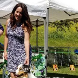 Australian Shepherds from MONTACC Australian Shepherds