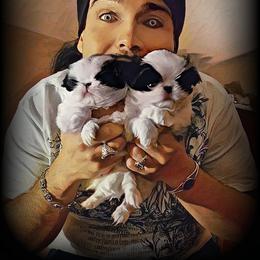 Japanese Chin Puppies from Mystike Japanese Chin