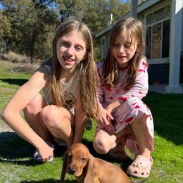 Dachshund Puppies from Pine & Pasture Dachshunds
