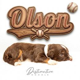 Olson - Red tri-color male Aussiedoodle puppy in Kennesaw, Georgia from Distinctive Doodle