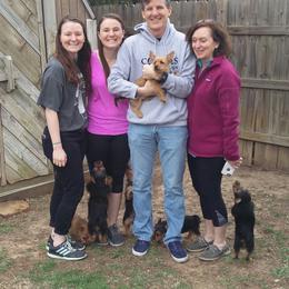 Australian Terrier Puppies from Heartland Australian Terriers