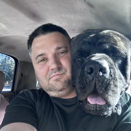 Boogieman - Mastiff