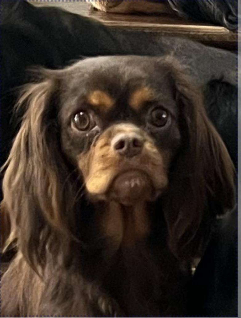 Coco