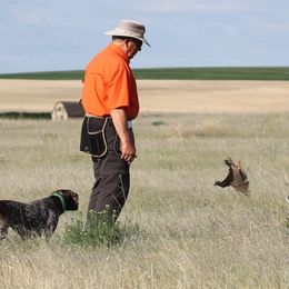 German Shorthaired Pointer Puppies from Magic City Gun Dogs