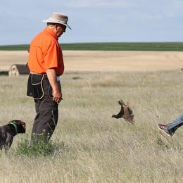German Shorthaired Pointer Puppies from Magic City Gun Dogs