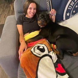 Rottweiler Puppies from Bronx Von Bridges Rottweilers