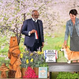 Sweets - Pembroke Welsh Corgi