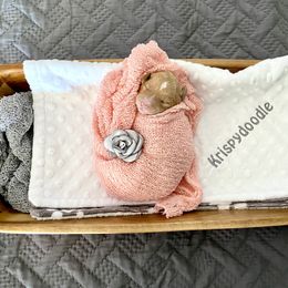 Goldendoodle and Poodle Puppies from Krispy Doodles