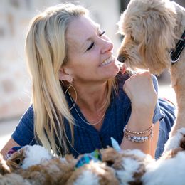 Poodle Puppies from Doodle Puppy Parti