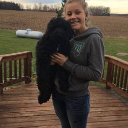 Goldendoodle and Labradoodle Puppies from Highland Sunrise Academy Stable and Kennel