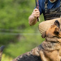 German Shepherds from Vom Eisenhunde