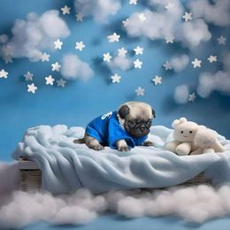 Pug Puppies from Precious Paws