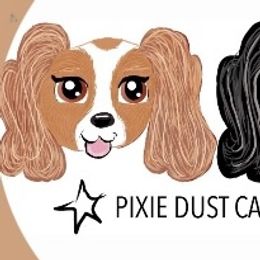 Cavalier King Charles Spaniels and Cavapoos from Pixie Dust Cavaliers