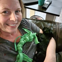 Miniature Schnauzer Puppies from Dees Schnauzers