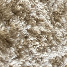 Girl 3 - Poodle puppy in Sherman, Texas from Ruth’s Poodles