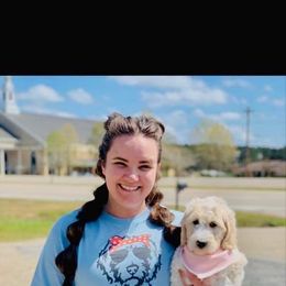 Goldendoodle Puppies from Thompson Creek Doodles