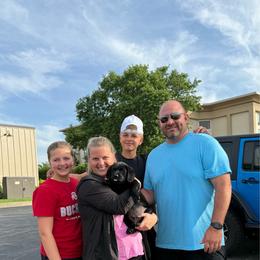Ivan  - Lime Green Collar - Black male Labrador Retriever puppy in Greensburg, Kentucky from Paws Farm Retrievers
