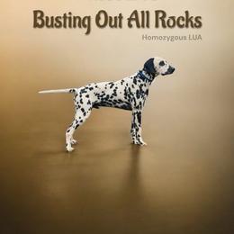 Boar - Dalmatian