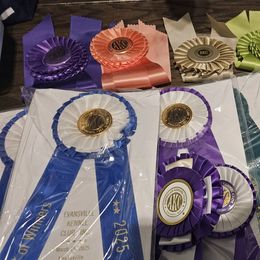 Weimaraner Puppies from So-IN Weimaraner's