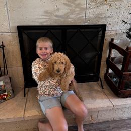 Boy 5 - Cream male Goldendoodle puppy in Austin, Texas from Central Texas Doodles
