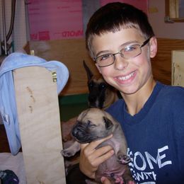 Great Dane Puppies from DiolaDanes