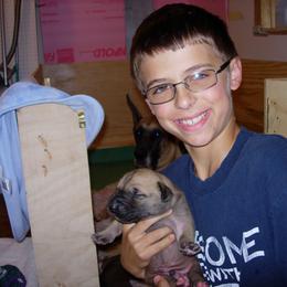 Great Dane Puppies from DiolaDanes