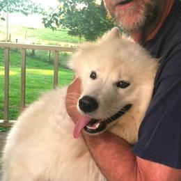 Luna - Samoyed
