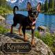 Krymson