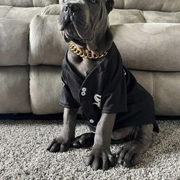 Biewer Terrier, Cane Corso, and Yorkshire Terrier Puppies from Exotic Yorkie Imports & Cessna Cane Corso